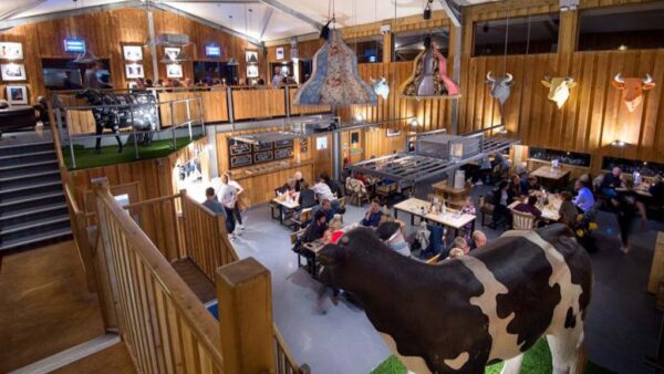 The Cow Co restaurant filled with people eating