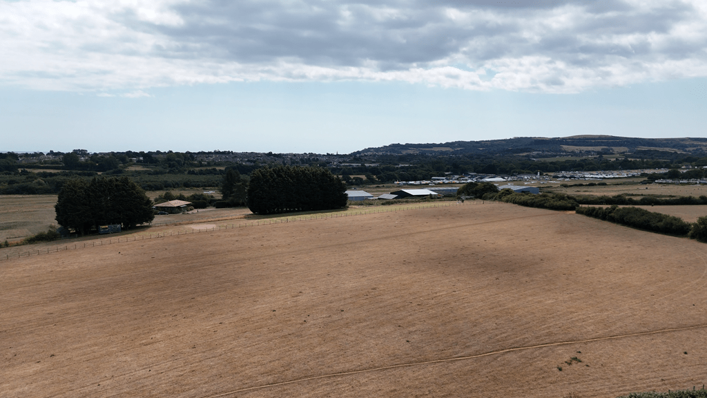 TouchWood extension image