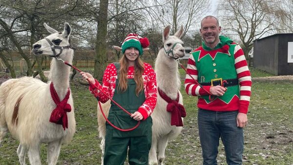 Tattershall Farm Park employees